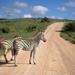 Thrills and Challenges Await as South African Safari Rally Launches Near Sun City!