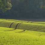Unleashing Talent: The Journey of Grove Racing’s Next Supercars Sensation