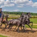 Exciting Wisconsin Racing Events Coming in August 2025: Discover Series Schedules and Local Tracks!