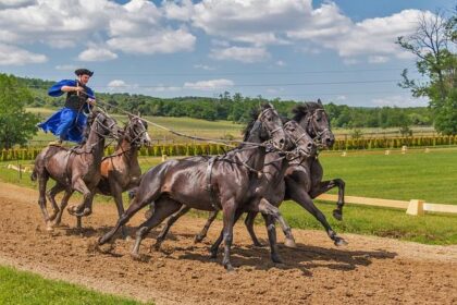 Exciting Wisconsin Racing Events Coming in August 2025: Discover Series Schedules and Local Tracks!
