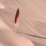Unveiling the Secrets of the 2025 Dakar Rally: 10 Surprising Discoveries from the Desert Dunes