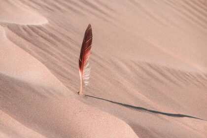 Unveiling the Secrets of the 2025 Dakar Rally: 10 Surprising Discoveries from the Desert Dunes