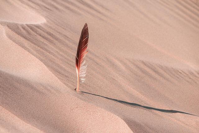 Unveiling the Secrets of the 2025 Dakar Rally: 10 Surprising Discoveries from the Desert Dunes