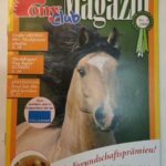 Uncertain Future for Pony Club as Fairgrounds Transition to Motorsports