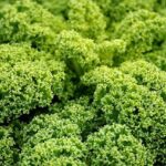 Chasing Greatness: Kalle Rovanpera’s Bold Leap into Single-Seaters Chasing Greatness: Kalle Rovanpera’s Bold Leap into Single-Seaters