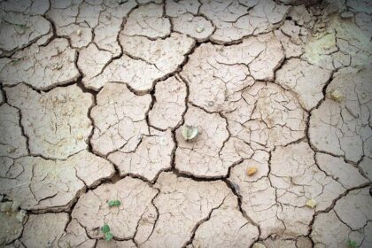 Monster Energy Honda HRC Riders Conquer Challenging Terrain in Rally-Raid Portugal Prologue!