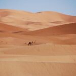 Schareina Shines in Morocco as Brabec Secures Podium in Thrilling 2025 Rally-Raid Finale! Schareina Shines in Morocco as Brabec Secures Podium in Thrilling 2025 Rally-Raid Finale!