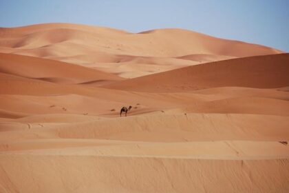 Schareina Shines in Morocco as Brabec Secures Podium in Thrilling 2025 Rally-Raid Finale!