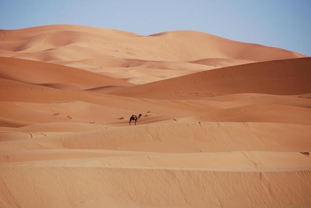 Schareina Shines in Morocco as Brabec Secures Podium in Thrilling 2025 Rally-Raid Finale! Schareina Shines in Morocco as Brabec Secures Podium in Thrilling 2025 Rally-Raid Finale!
