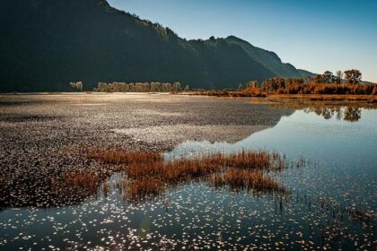 Brad Pitt Reflects on His ‘F1’ Filming Experience: The Day He Described as ‘The Unhappiest