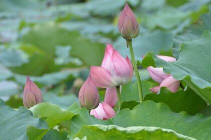 Chase Briscoe Reflects on a Pivotal NASCAR Moment: The Regret That Haunts Him