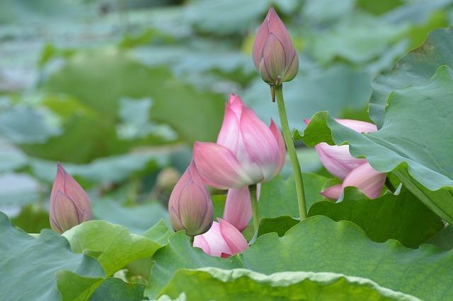 Chase Briscoe Reflects on a Pivotal NASCAR Moment: The Regret That Haunts Him