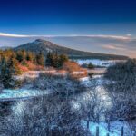 Gabriel Bortoleto: The Dreamer Following in Ayrton Senna’s Footsteps