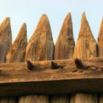 Parker Retzlaff Set to Join Viking Motorsports in 2026!