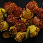 Porsche Penske Motorsport seals IMSA WeatherTech SportsCar Championship drivers’, teams’ and manufacturers’ titles – Porsche Motorsport Hub