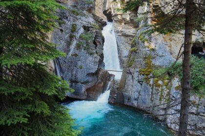 Jimmie Johnson Takes the Wheel: NASCAR Stars Shine at Fuji Speedway’s Super Taikyu Series!