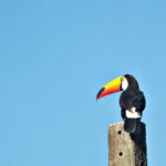 Felipe Massa gives 2008 F1 title court case update: ‘I look forward to justice’