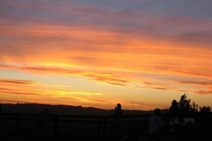 William Byron’s Crew Chief Sounds Alarm on Costly Adjustments for NASCAR’s Next Gen Short Track Package!