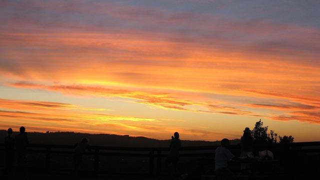 William Byron’s Crew Chief Sounds Alarm on Costly Adjustments for NASCAR’s Next Gen Short Track Package!