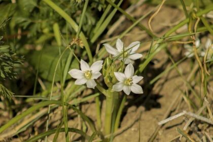 Justin Haley to Depart Spire Motorsports: What’s Next for the Rising Star?