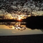 Denny Hamlin Opens Up About 2026 Plans and Reflects on Championship Heartbreak