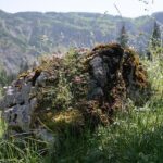 Guenther Steiner Opens Up: Haas Prevented Him from Attending F1 Stewards Meetings During Penalty Controversies