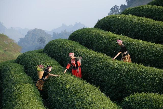 Get Ready for the Thrills: A Sneak Peek at the Whelen Modified Tour in Wilkesboro!