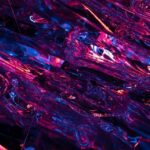 Ray Evernham Unveils Exciting Future Plans for IROC Series!