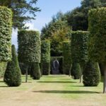 Kevin Magnussen’s Thrilling Second Act: A New Era in Sports Car Racing