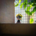 Beyond the Track: How Red Bull F1 Drivers Recharge with Anime, MMA, and Music