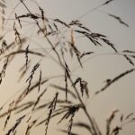 Jimmie Johnson Set to Rev Up Excitement at NASCAR’s Inaugural San Diego Street Race!