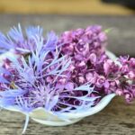 Thrilling Showdown at Hickory: Kvapil Takes Seventh, Hall Finishes Fourteenth in zMAX CARS Tour Throwback Classic!