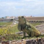 Juan Pablo Montoya Slams McLaren for Qatar GP Pit Strategy: ‘Afraid of Making Decisions