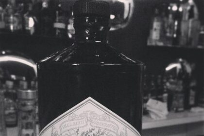 Unforgettable Victories: The Legendary Wins of Hendrick Motorsports