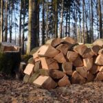 Exciting Lineup of Speakers Announced for the BlackBook Motorsport Forum USA!