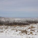 Colin Turkington: Four-Time Champion Set to Sit Out 2025 BTCC Season