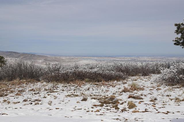 Colin Turkington: Four-Time Champion Set to Sit Out 2025 BTCC Season