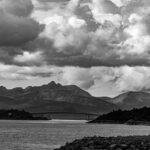 Kyle Busch’s 2025 Season: Highlights and Key Takeaways