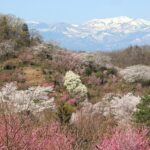 F1 Takes Action: Yuki Tsunoda Faces Consequences for Red Bull Incident at Abu Dhabi GP!