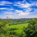 Damon Hill Defends Lando Norris Against ‘Pathetic’ Criticism of His Privileged Background