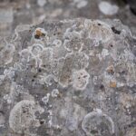 Parella Motorsports Joins Forces with Racing America: A New Era for North American Racing!