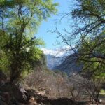 Daniel Juncadella Masters WEC Hypercar in Just One Day!