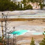 Lando Norris laughs it off as FIA awards night moment sparks online backlash