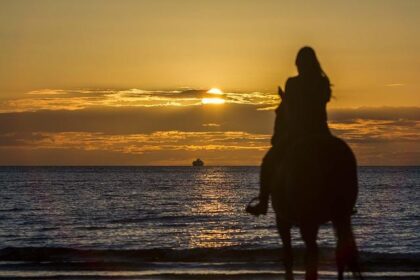 Revamping the Race: IndyCar’s Exciting New Officiating System Unveiled by Doug Boles