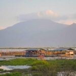 Java House, INDYCAR, and Arlington Unite for a Bold Future!