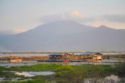 Java House, INDYCAR, and Arlington Unite for a Bold Future!