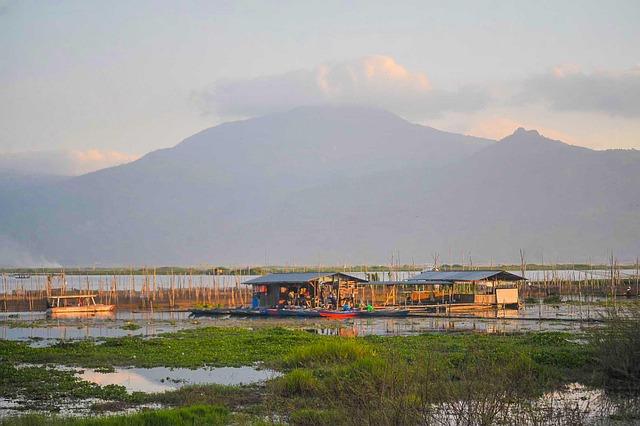 Java House, INDYCAR, and Arlington Unite for a Bold Future!