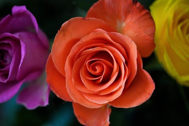 Exciting New Duo: Jon Armstrong Teams Up with Josh McErlean for M-Sport Ford WRC 2026!