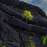 Why Checo Pérez Will Miss the 2025 Mexican Grand Prix: The Inside Story