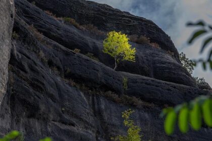 Why Checo Pérez Will Miss the 2025 Mexican Grand Prix: The Inside Story